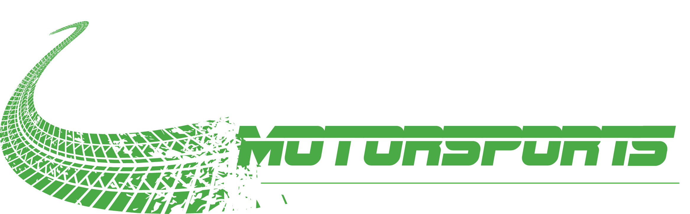 Dirtwise Motorsports Logo